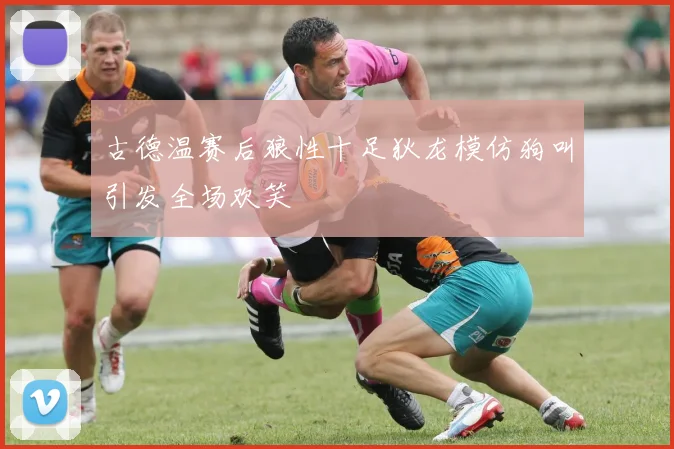 古德温赛后狼性十足狄龙模仿狗叫引发全场欢笑